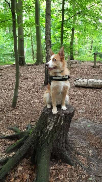 Fotochallenge Nr. 67: Euer Lieblingsbild-Beitrag-Bild