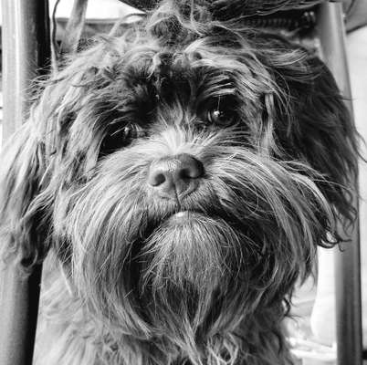 Foto-Challenge 76: Foto in Schwarz-Weiss-Beitrag-Bild