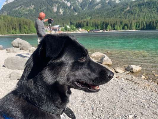Schwimmen lernen-Beitrag-Bild