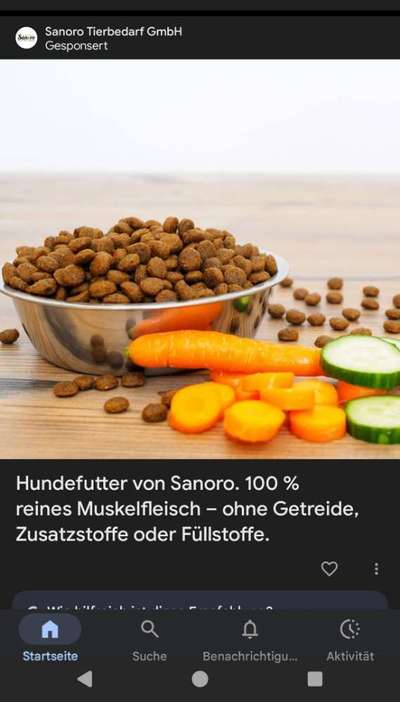 Hochwertiges / Bedarfsgerechtes Nassfutter (ohne Barfen), welches nur?-Beitrag-Bild