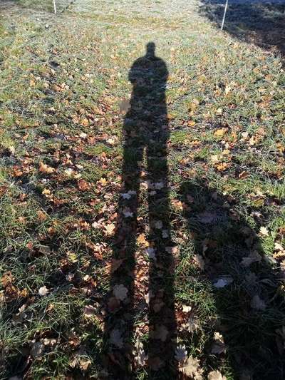 TierschutzhundeStammtisch🐕-Beitrag-Bild