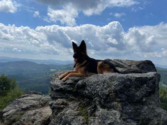 FOTOCHALLENGE 86-Beitrag-Bild