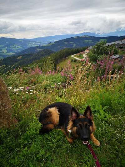 Fotochallenge 78

Es grünt und blüht-Beitrag-Bild