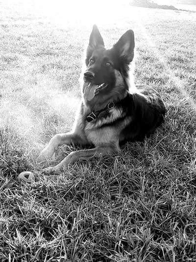 Foto-Challenge 76: Foto in Schwarz-Weiss-Beitrag-Bild