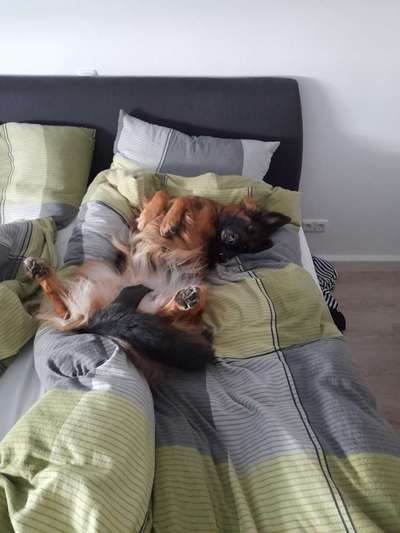 Foto Challange Nr.80-Beitrag-Bild