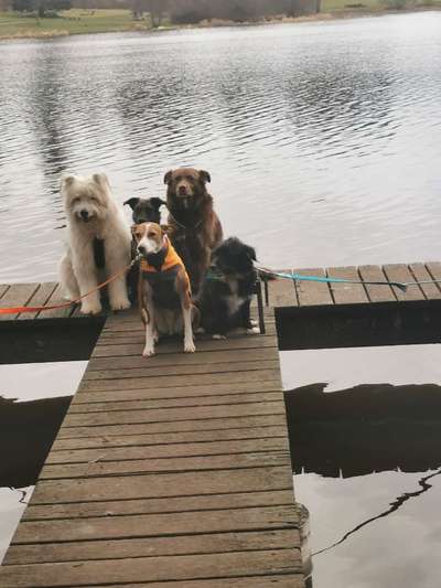 Fotochallenge 69-Beitrag-Bild