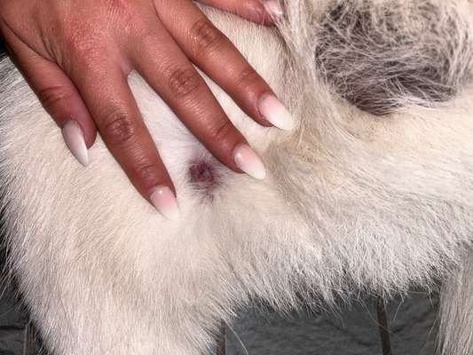 Kann uns jemand behilflich sein?-Beitrag-Bild