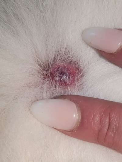 Kann uns jemand behilflich sein?-Beitrag-Bild