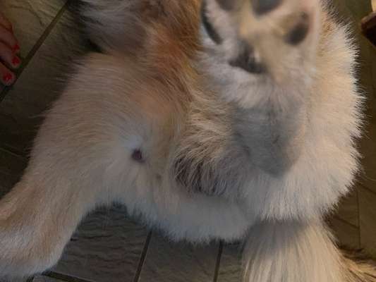 Kann uns jemand behilflich sein?-Beitrag-Bild