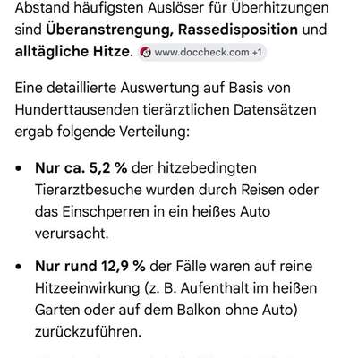 Warum sind meine Hunde bei Hitze so?-Beitrag-Bild