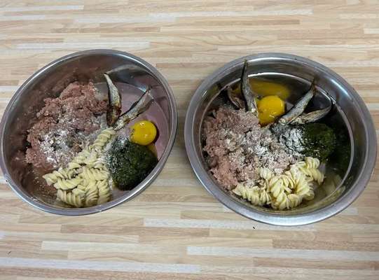 Zeigt her Eure Futternäpfe-Beitrag-Bild