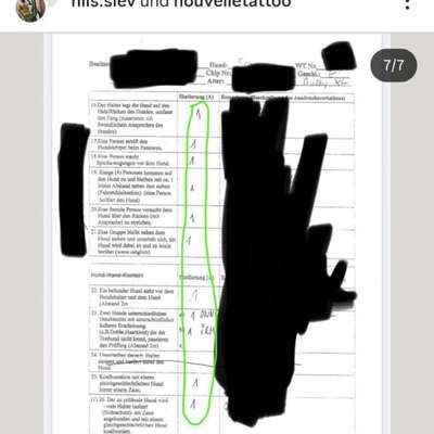Der Fall "Sam" - Angriff oder missglückter Rettungsversuch?-Beitrag-Bild