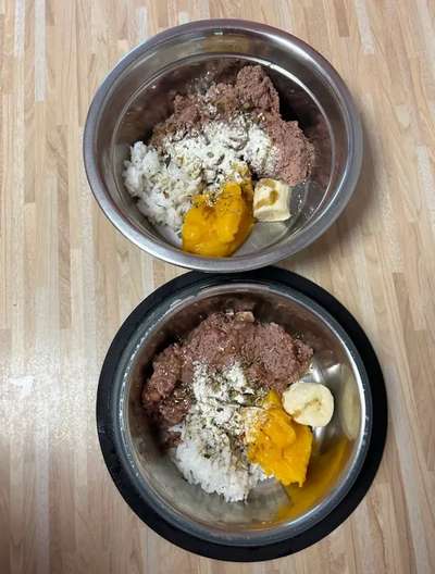 Zeigt her Eure Futternäpfe-Beitrag-Bild