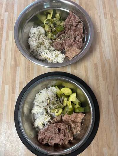 Zeigt her Eure Futternäpfe-Beitrag-Bild