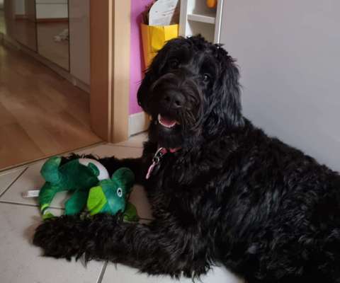 Reico vital - Erfahrungen, Meinungen, Berichte?-Beitrag-Bild