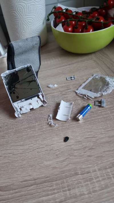 Was haben eure Hunde schon gefressen oder zerstört ?-Beitrag-Bild