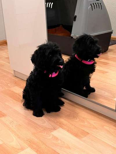 Fotochallange Nummer 5-Beitrag-Bild