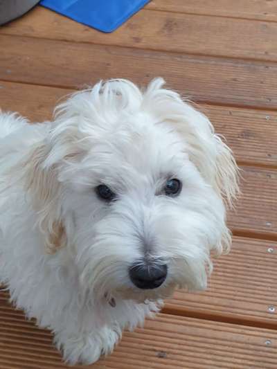 Fotochallange Nr. 57     PORTRÄT.   Beendet!!!!!!!!-Beitrag-Bild