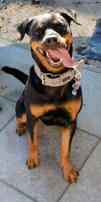 Handyfoto challenge Nr. 13: Waschlappen raus!-Beitrag-Bild