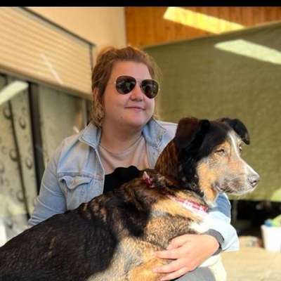 Hundetreffen-Treffen mit großen Hunden-Profilbild