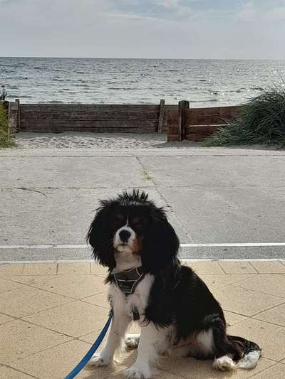 Fotochallenge Nr. 94 It's summer time-Beitrag-Bild