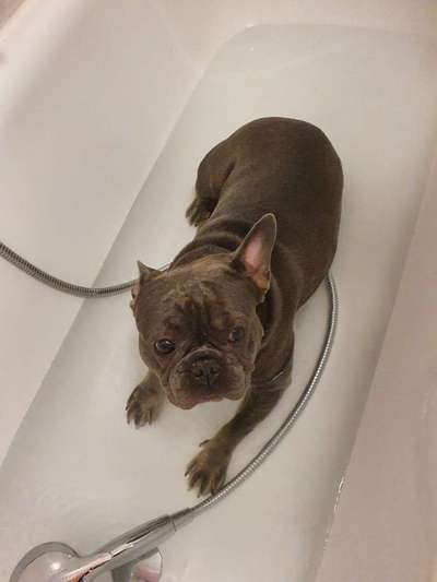 FOTOCHALLANGE NR.71 BADEFREUDE-Beitrag-Bild