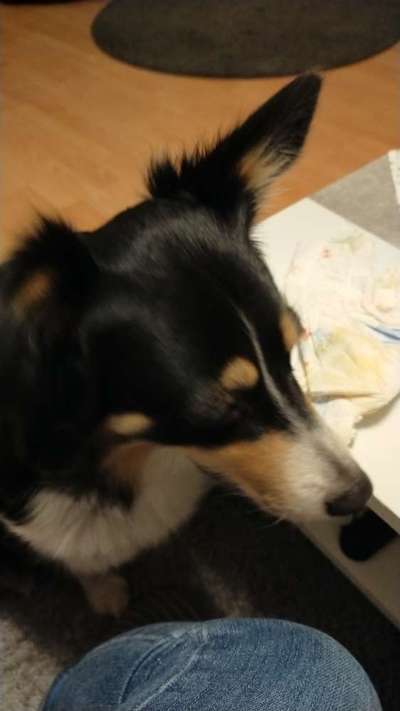 Bettel Blicke-Beitrag-Bild