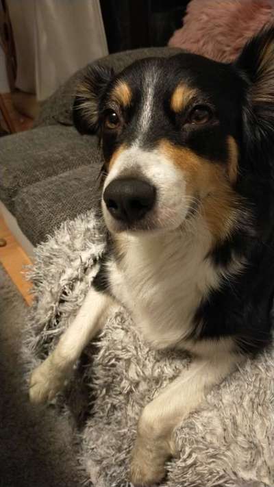 Bettel Blicke-Beitrag-Bild