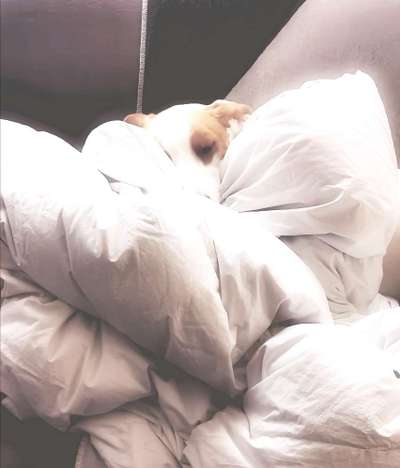 143. Fotochallenge: Ja, wo isser denn?-Beitrag-Bild