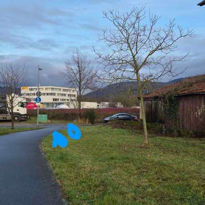 Giftköder-Girftköder /Schokolade-Bild