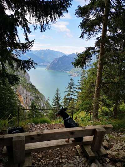 Dogorama Photo Challenge - Bänke-Beitrag-Bild