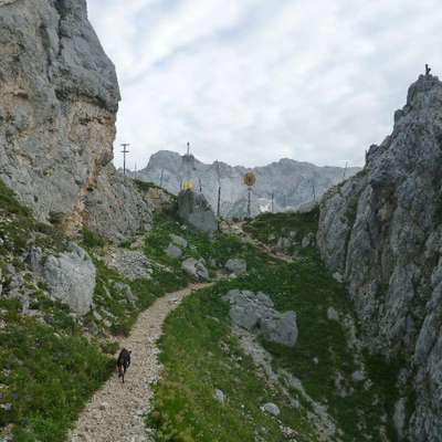 Titelbild Gruppe gemeinsam Wandern mit Hund - Werdenfelser Land (Mittenwald, Garmisch-Partenkirchen, Ehrwald)