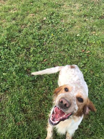 Foto-Challenge Nr. 90: Lebensfreude-Beitrag-Bild