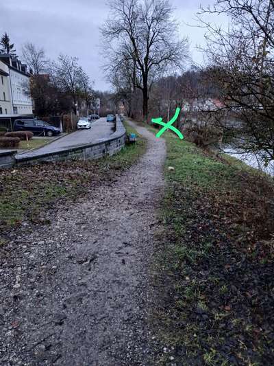 Giftköder-Verstreute Leckerlies-Bild