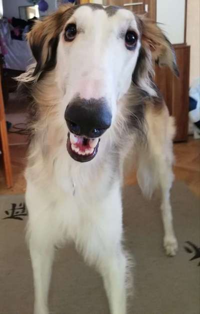 Fotochallange Nr. 57     PORTRÄT.   Beendet!!!!!!!!-Beitrag-Bild