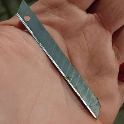 Giftköder-Scharfe Klinge auf Wiese entfernt!!-Bild