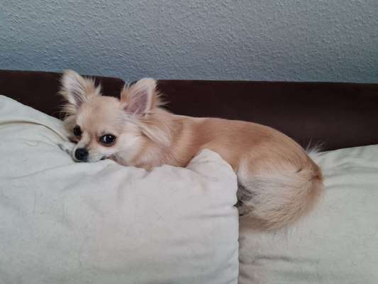 Ton in Ton-Beitrag-Bild