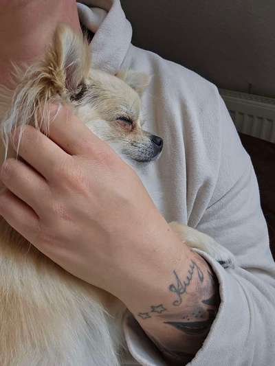 Ton in Ton-Beitrag-Bild