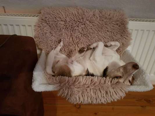 Die unbequemsten und lustigsten Schlafpositionen-Beitrag-Bild