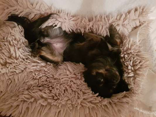 Die unbequemsten und lustigsten Schlafpositionen-Beitrag-Bild