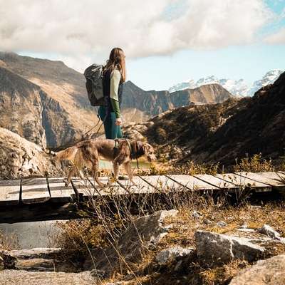 Hundetreffen-Hundewanderung-Bild
