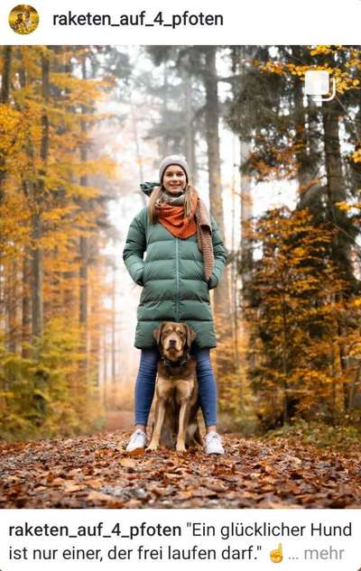 Hundetreffen-Social Walk-Bild