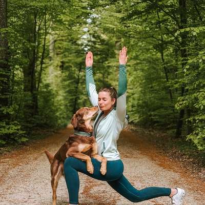 Hundetreffen-Fit mit Pfote - Fitnesstreff mit Hund-Bild