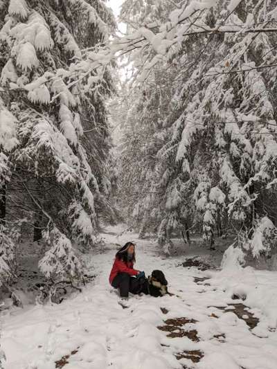 Berner Sennen-Beitrag-Bild