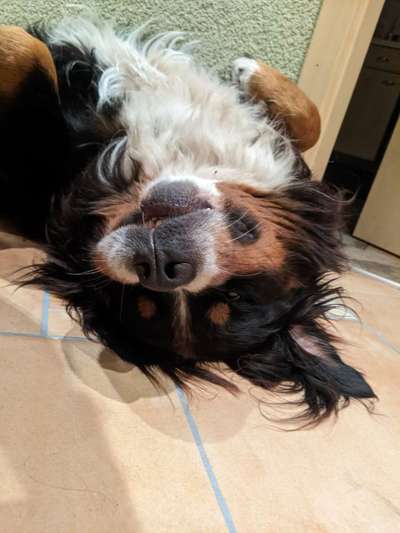 Handy-foto Challange nr. 11-Beitrag-Bild