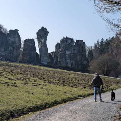 Leinenpflicht – nervige Einschränkung oder sinnvoller Schutz?-Beitrag-Bild