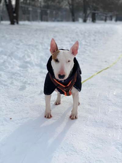 Fotochallenge 61 ~ Schnee-Beitrag-Bild