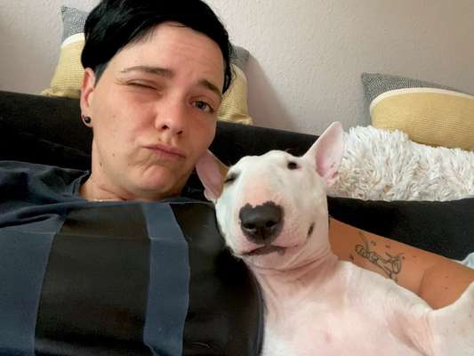 Herrchen oder Frauchen-Ähnlichkeit mit dem  Hund-Beitrag-Bild