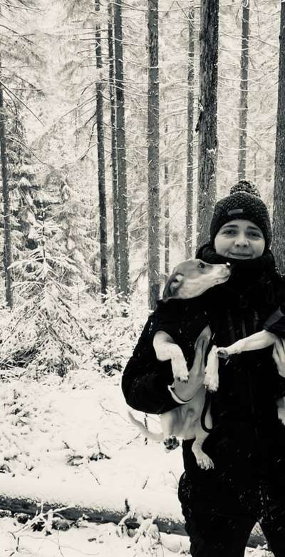 Fotochallenge 61 ~ Schnee-Beitrag-Bild