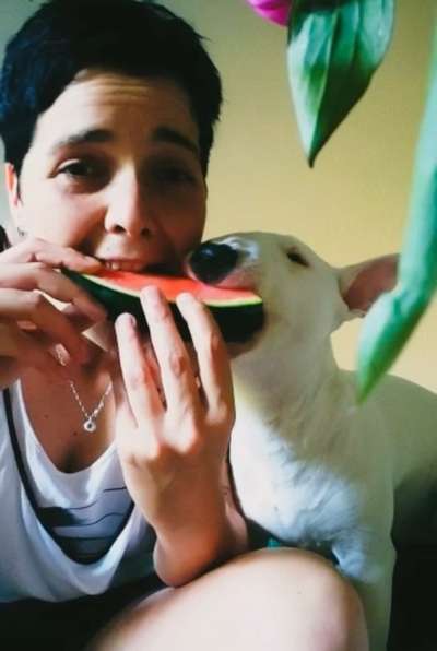 Was wird bei Euch ge..teilt ?-Beitrag-Bild